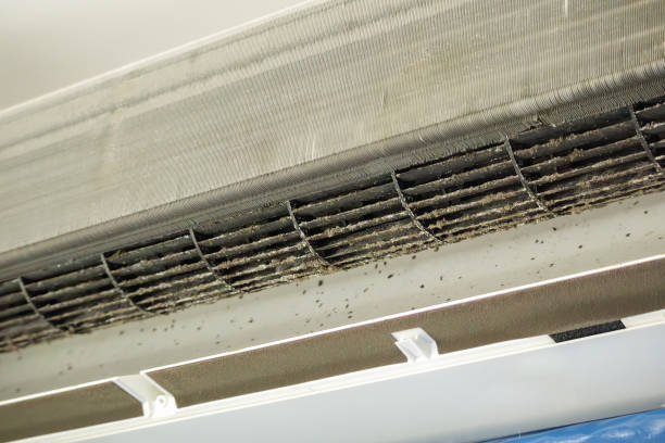 Best Ventilation System Cleaning in Piney Green, NC